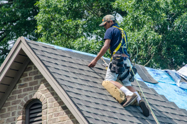 Best Roof Maintenance Services  in Sappington, MO